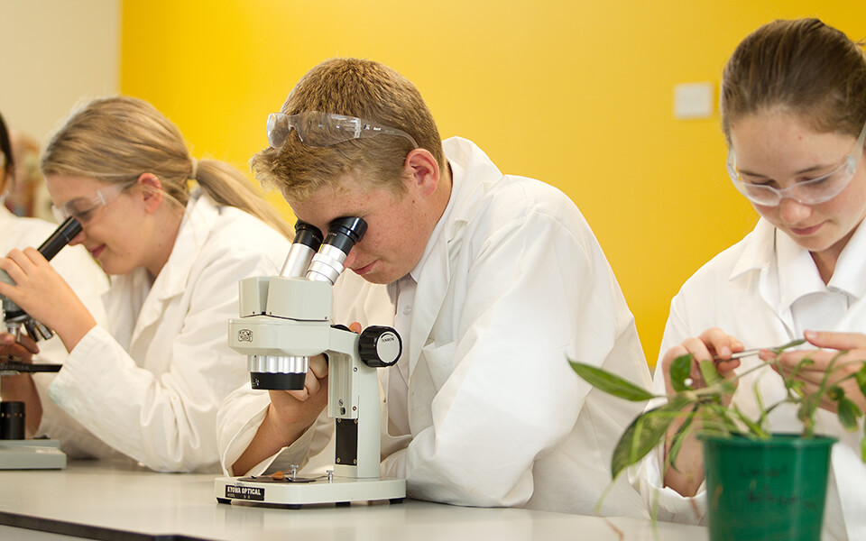 International students at Wakatipu High School, photo 18